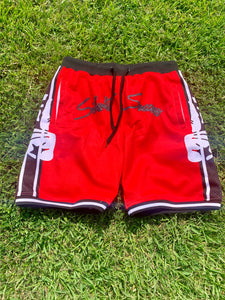 Mesh Shorts- Red