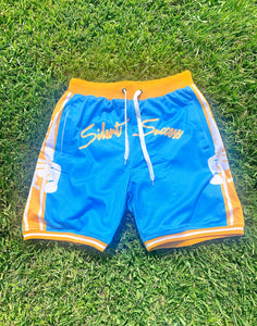 Mesh Shorts- Blue/Yellow